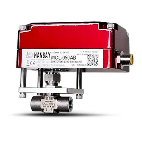 WEB-Hanbay-Actuator-Swagelok-Needle-Valve-MCL-SS-1RF2.png