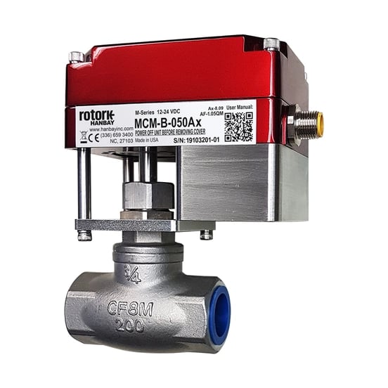 M Series MCM-B-050Ax globevalve_1_polka